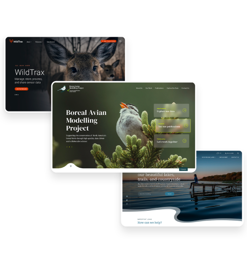 London Digital Studio